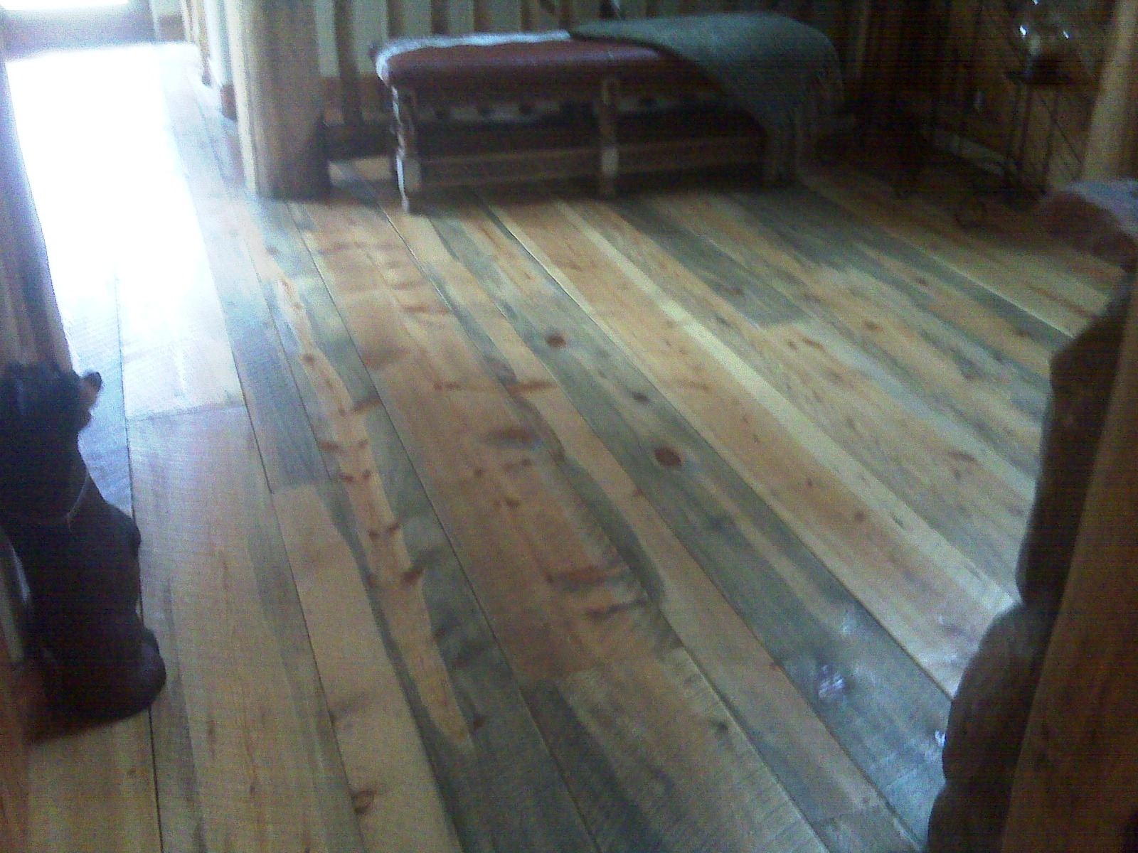 Beetle Kill Blue Pine Hardwood Flooring, Blue Hardwood Floor