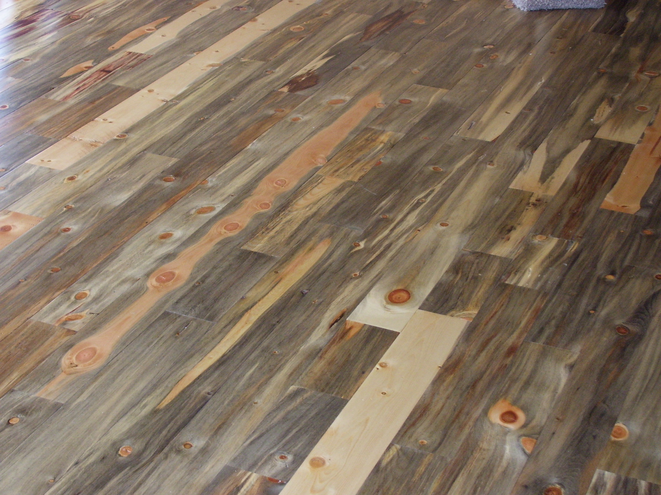 What Is Blue Beetle Kill Pine And Why Choose It For Your Hardwood Floor Installation